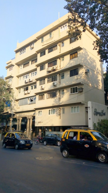 Main - Tulip, Nepeansea Road